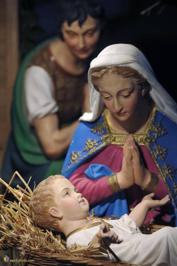 Nom de l'image : D30043145_1_(c)Norbert-JUNG — Description :